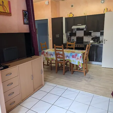 Apartamento De Plain Pied , Jardin Et Grande Terrasse *