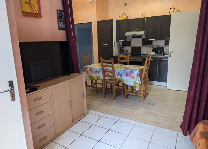 Apartment De Plain Pied , Jardin Et Grande Terrasse *